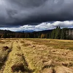 Tonihof * Langdorf (Regen)