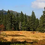 Lejlighed Tonihof