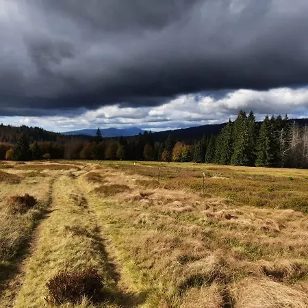 Tonihof * Langdorf (Regen)