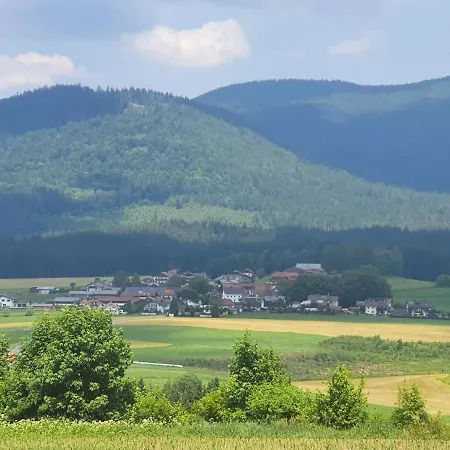 公寓 Tonihof Langdorf (Regen)
