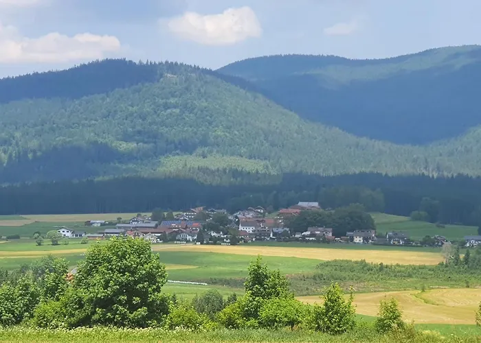 公寓 Tonihof Langdorf (Regen)